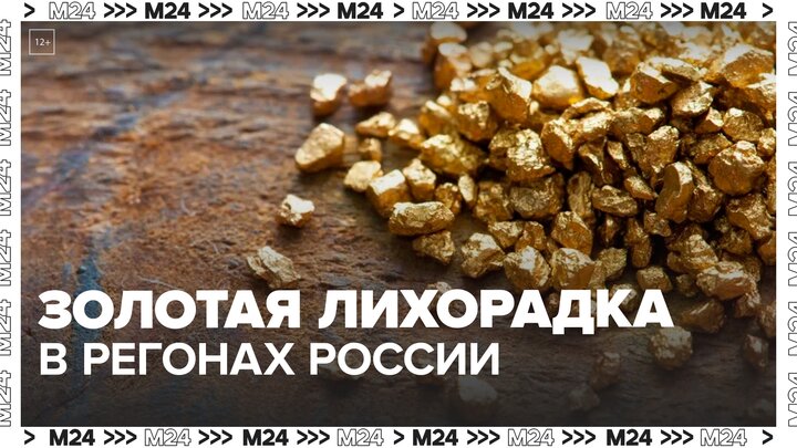 Новые месторождения золота нашли в нескольких регионах в РФ - Москва 24