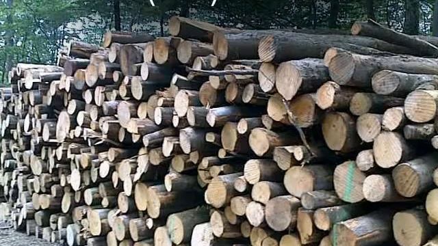 Дрова ДУБ, Слива, Груша, Карагач, Сосна смотреть онлайн