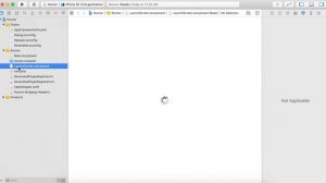 Open and Run Flutter App Project in Xcode IDE for IOS development and modifications.