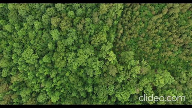 Волшебный Ворон: Лучшие Рок Баллады Человечества. Часть3