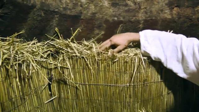 пекорино ди Фосса смотреть онлайн