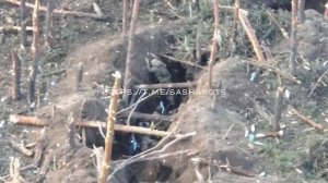 Подвиг Александра Мальцева