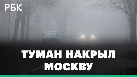 Видимость до ста метров. Из-за густого тумана в Москве переносят и отменяют авиарейсы: видео