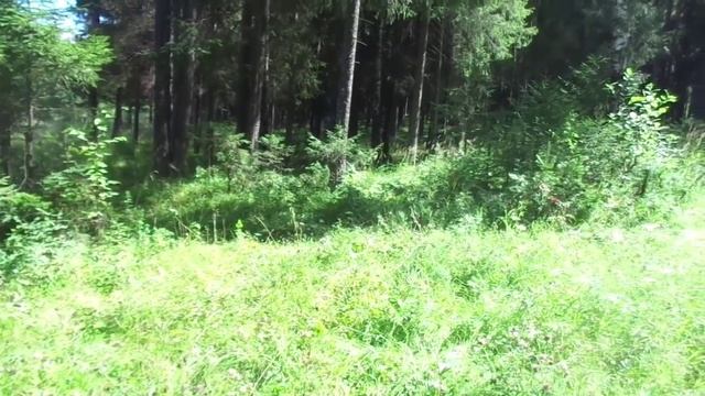 ASMR Какая посуда вредна для здоровья