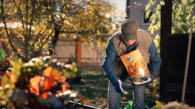Осенний набор Органик Микс - ответь огороду взаимностью !