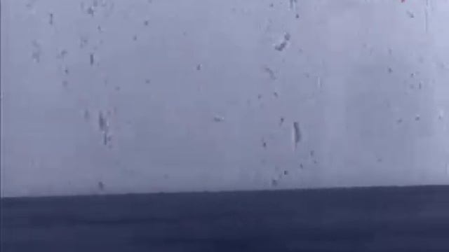 Отряд космических дворняг
