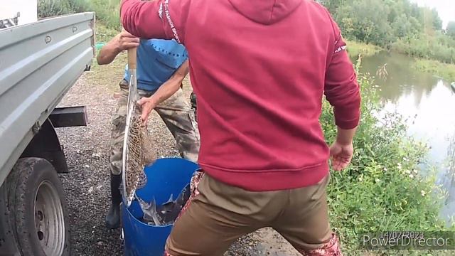 кокино - неудача смотреть онлайн