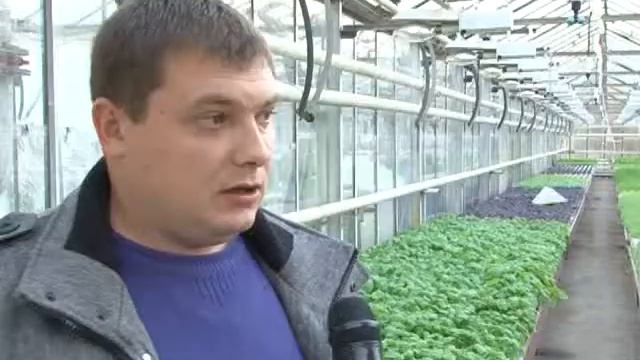 ООО Холпарк смотреть онлайн