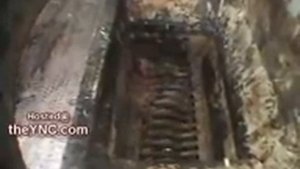 любишь колбасу;СМОТРИ что ты ЕШЬ