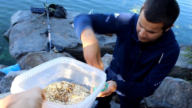 BRABAN - качественная живая наживка для рыбалки! смотреть онлайн