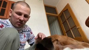 Чем кормить собаку? Сухой корм или натуралка? Привередливая моя собака