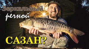 Зеркальный САЗАН? ОБЬ начало 24 года!