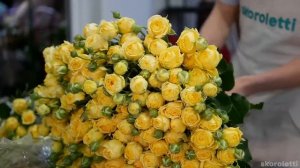 Пионовидная кустовая Роза Peony Bubbles