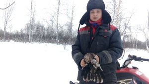 Стелс Капитан 150(200)Таскает дрова. По глубокому снегу. Пробег 700км.