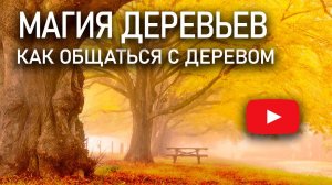 Деревья источник силы | Как зарядится энергией от деревьев