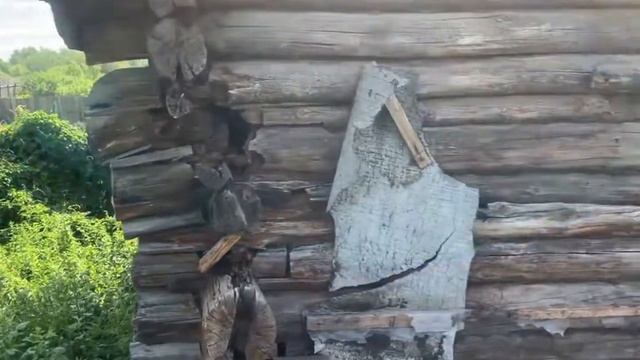 Заброшен дом где живет сова смотреть онлайн