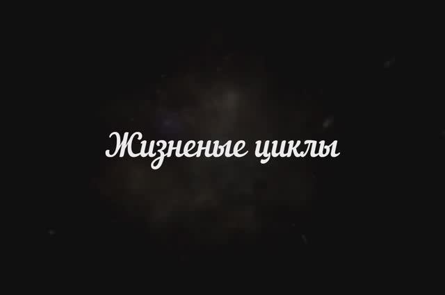 Жизненные циклы смотреть онлайн
