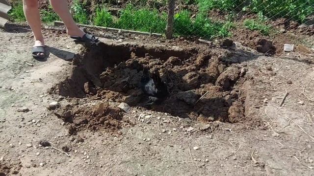 маленький пруд для уток#лето#дача#утки#жизньвдеревне#природа#