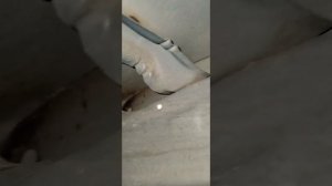 дверь задняя правая внутри Infiniti QX70