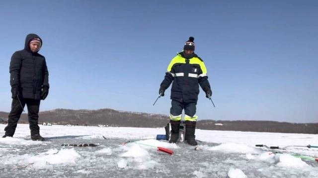 Навага б.Круглая остров Русский