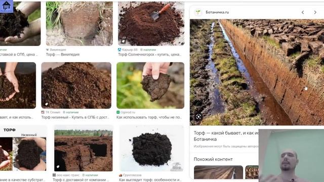 МХИ, Хвощи, Плауны, ПАПОРОТНИКИ для ЕГЭ 2023 |ЕГЭ БИОЛОГИЯ|Freedom| смотреть онлайн