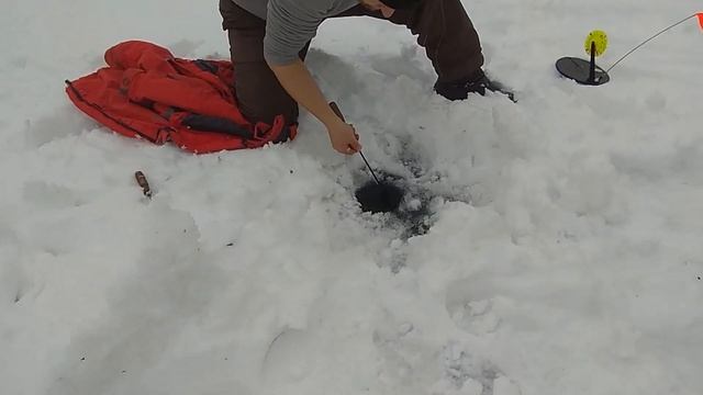 Щука на жерлицы. 7,2 кг!!! Огромная!!! Леска трещит в руках!!! Обновил личный рекорд!!! смотреть онлайн