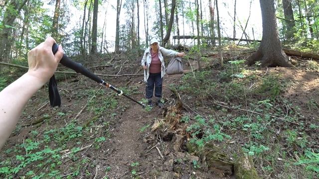 В лес 18 мая 2023 2 ч смотреть онлайн