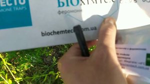 Феромонные Ловушки от восточной и яблоневой плодожерки. Статистика за месяц.
