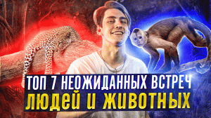 ТОП 7 НЕОЖИДАННЫХ ВСТРЕЧ ЛЮДЕЙ И ЖИВОТНЫХ, СНЯТЫЕ НА КАМЕРУ