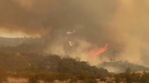 В Калифорнии огнем охвачены без малого полмиллиона гектаров леса