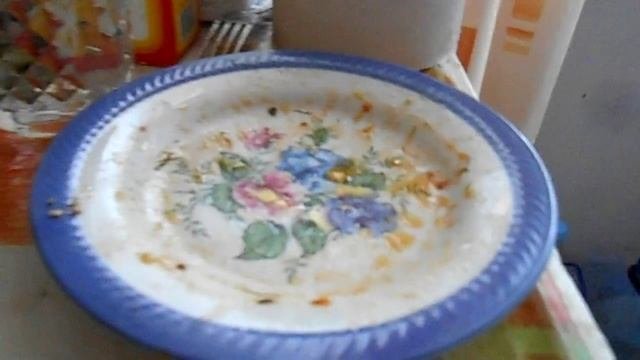 Выживание. Как мыть посуду без воды.