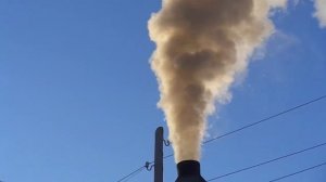 Твёрдотопливный котёл Неделька КО 60  и берёзовые дрова