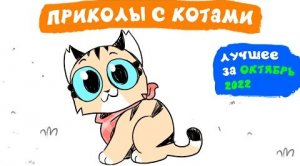 Приколы с котами. ЛУЧШЕЕ ЗА ОКТЯБРЬ 2022｜Мемозг