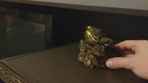 экран проектора