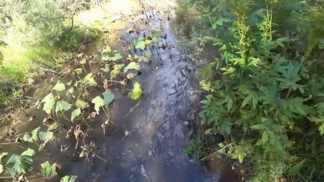 На Таёжной речке/ Хариусом забиты все плёсы и ямы/ Вот эта Рыбалка просто Я В ШОКЕ от КЛЁВА! смотреть онлайн