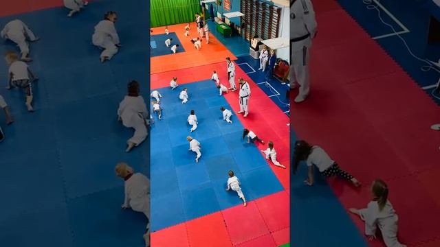 Тхэквондо для детей 3 года