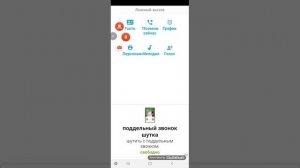 Как пользоваться приложениям ложный вызов
