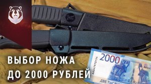 Нож Вектор или нож Отус? Выбор ножа до 2000 рублей