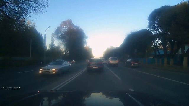 откуда берутся сайгаки? смотреть онлайн