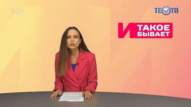 Программа передач на канале тео тв. Тео ТВ программа.