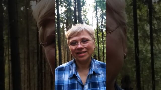 Отзыв о расстановках смотреть онлайн