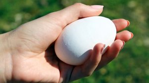 Почему нельзя раздавить яйцо одной рукой?
