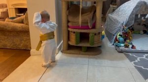 Самый маленький дзюдоист в мире. Дзюдо со Звездами Дети.