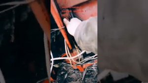 двух штоковый рулевой целиндр т 25