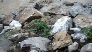 Кадамжай 27.05.2016