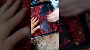 Как быстро почистить бруснику от мусора феном !!!!@@@@@!
