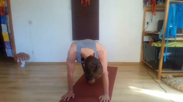 Йога 29 апреля 2020 ч1 (а) смотреть онлайн