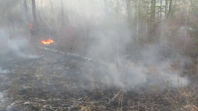 Хабаровск-Москва. Кто поджигает Амурскую область? смотреть онлайн
