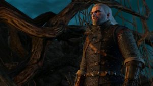 Шабаш Ведьм The Witcher 3: Wild Hunt #60