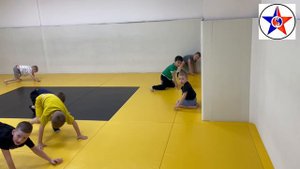 Основы боевого самбо для детского развития